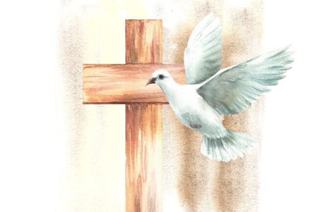 white dove with wooden cross