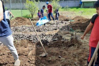 Learning to Grow Food.