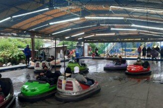 Fun at the Local Fair.